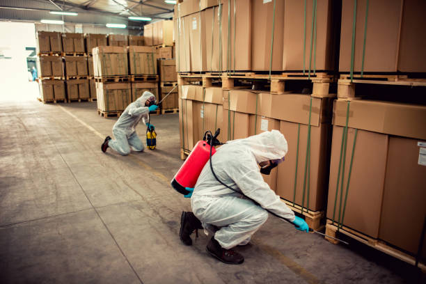 Best Pest Prevention Services  in Woodburn, IN