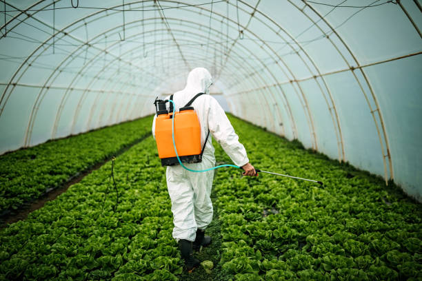 Best Mosquito Control Services  in Woodburn, IN