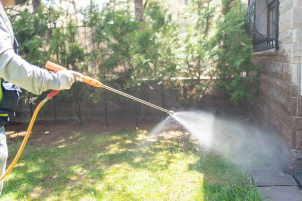 Best Pest Removal Services  in Woodburn, IN