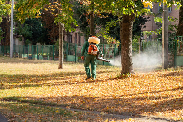 Best Affordable Pest Control Services  in Woodburn, IN